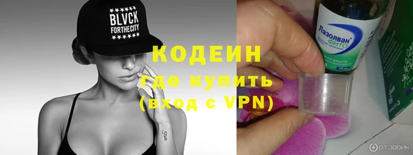 крисы Абаза