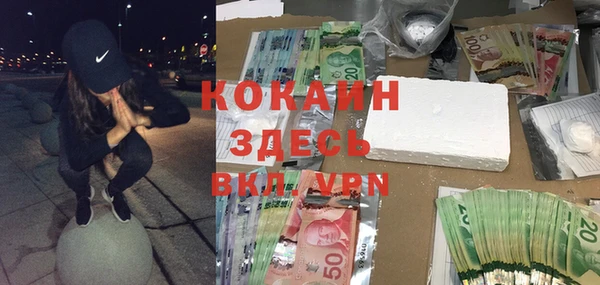 крисы Абаза